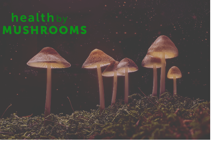 image of mushrooms with logo