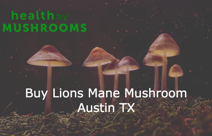 Buy Lions Mane Mushroom Austin TX featured image