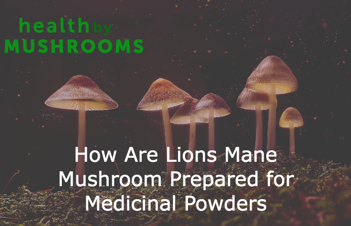 How Are Lions Mane Mushroom Prepared for Medicinal Powders featured image