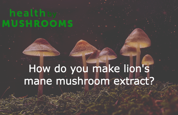 How do you make lion's mane mushroom extract featured image