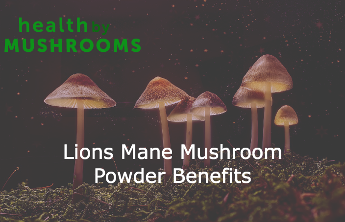 Lions Mane Mushroom Powder Benefits featured image