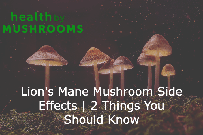 Lion's Mane Mushroom Side Effects | 2 Things You Should Know featured image