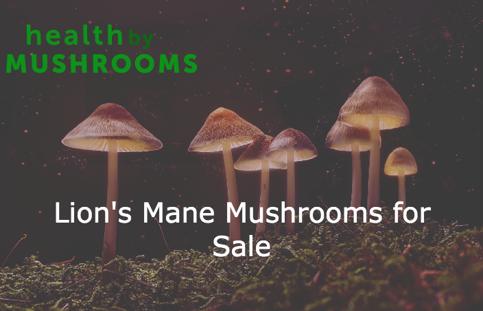 Lion's Mane Mushrooms for Sale featured image