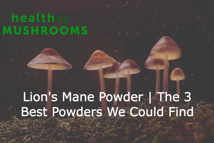 Lion's Mane Powder | The 3 Best Powders We Could Find featured image