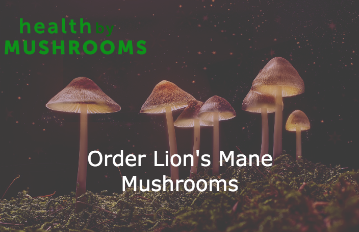 Order Lion's Mane Mushrooms featured image