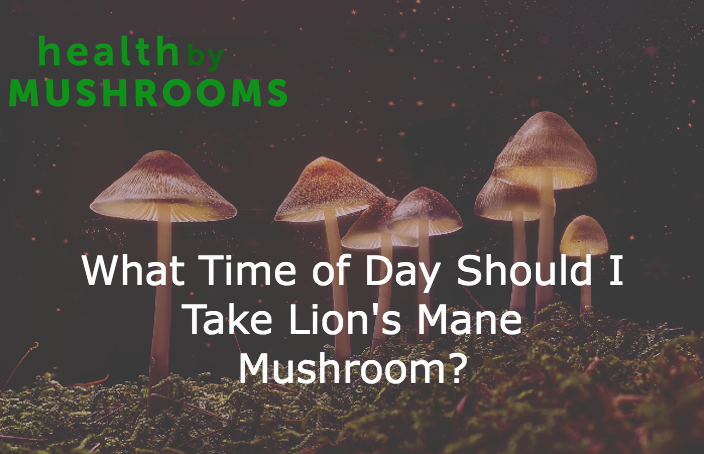 What Time of Day Should I Take Lion's Mane Mushroom featured image