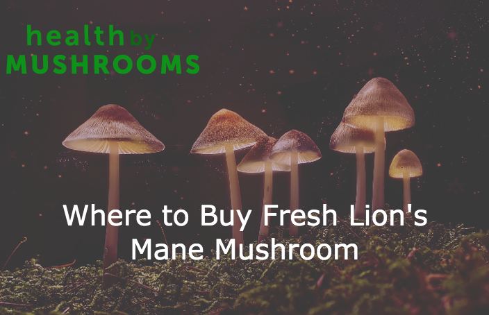 Where to Buy Fresh Lion's Mane Mushroom featured image