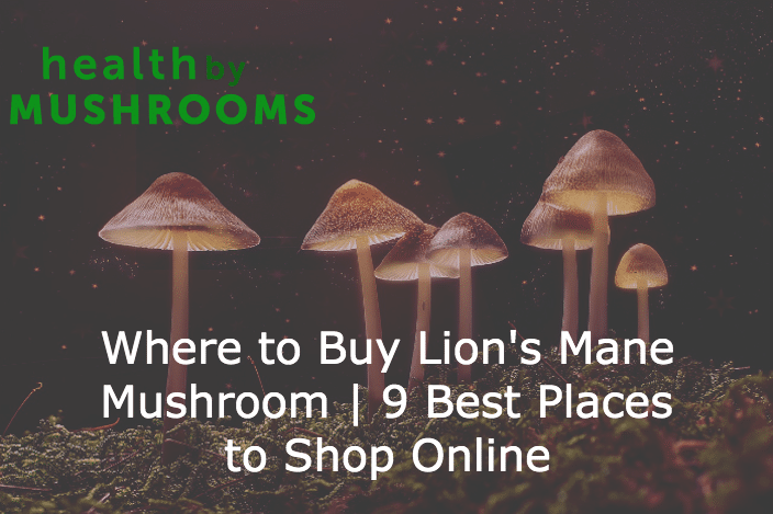 Where to Buy Lion's Mane Mushroom | 9 Best Places to Shop Online featured image