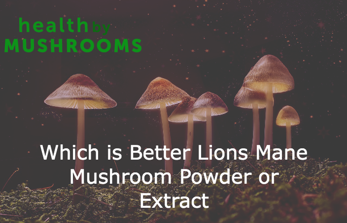 Which is Better Lions Mane Mushroom Powder or Extract featured image
