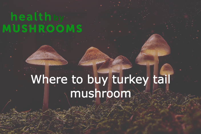 where to buy turkey tail mushroom