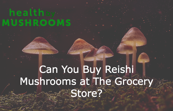 Can You Buy Reishi Mushrooms at The Grocery Store featured image