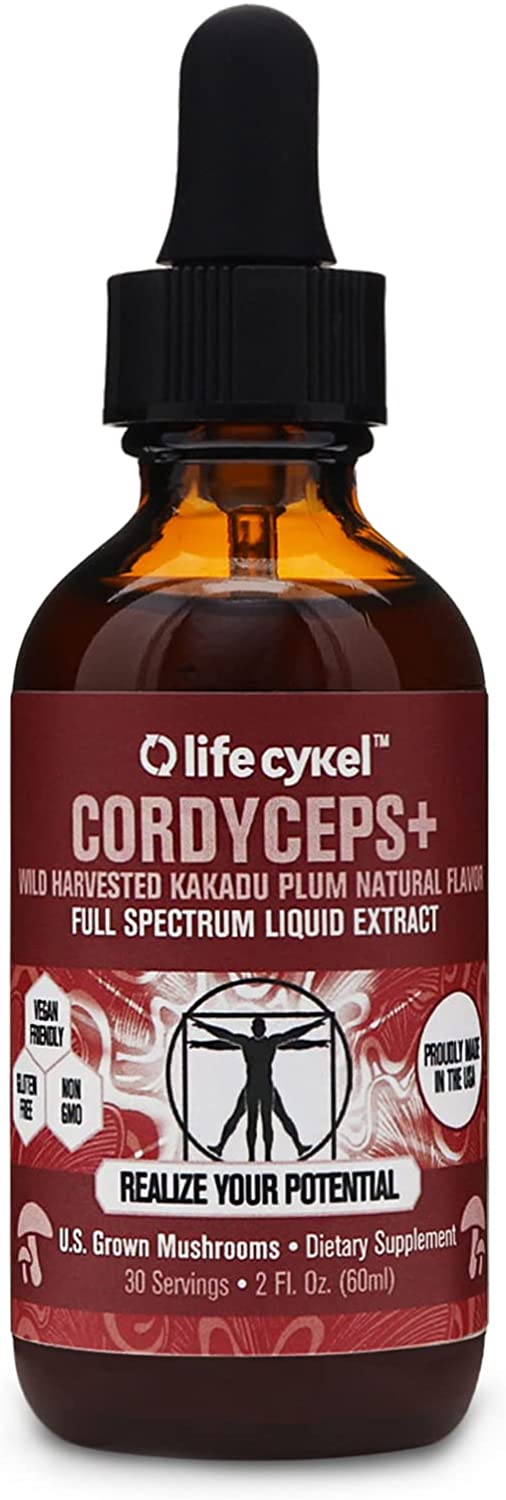 Picture of lifecykel cordyceps Tincture