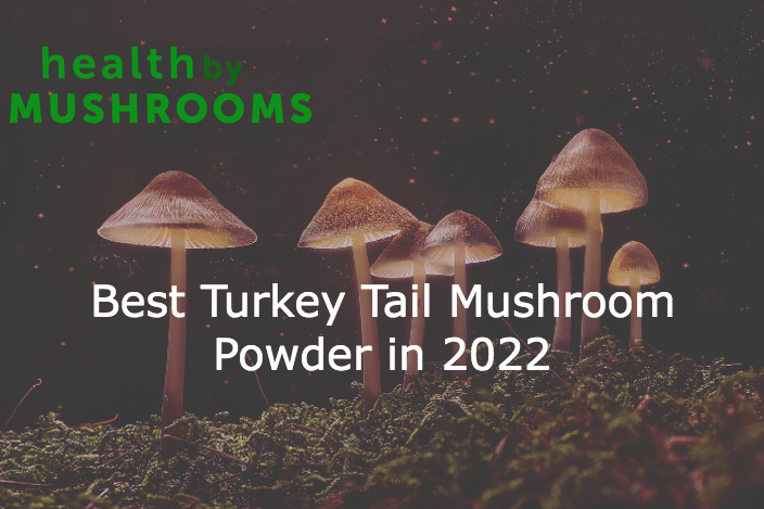 turkey tail mushroom powder featured image