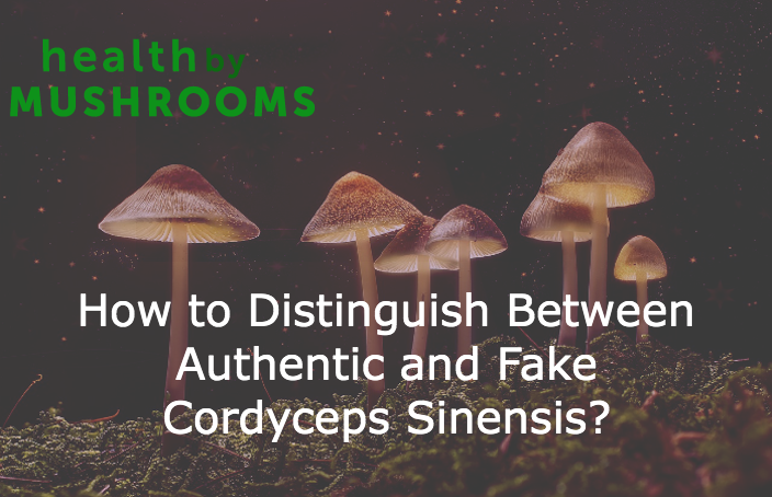 How to Distinguish Between Authentic and Fake Cordyceps Sinensis featured image