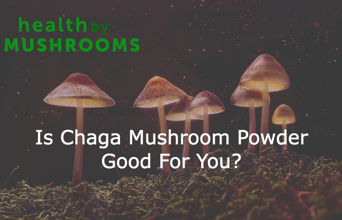Is Chaga Mushroom Powder Good For You featured image