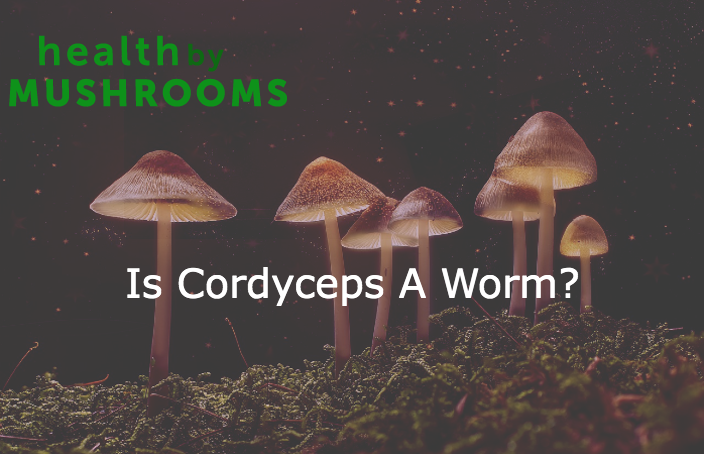 Is Cordyceps A Worm featured image