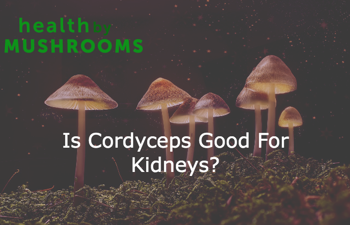 Is Cordyceps Good For Kidneys?