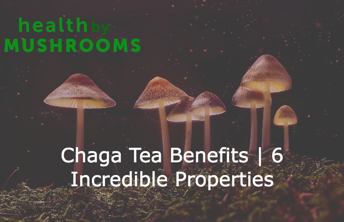 Chaga Tea Benefits | 6 Incredible Properties