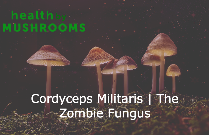 Cordyceps Militaris | The Zombie Fungus
