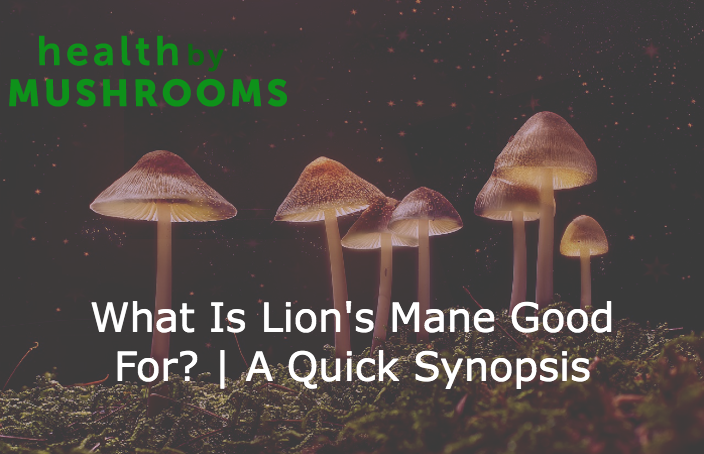 What Is Lion's Mane Good For? | A Quick Synopsis
