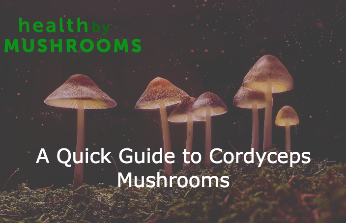 A Quick Guide to Cordyceps Mushrooms
