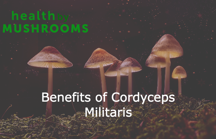 Benefits of Cordyceps Militaris