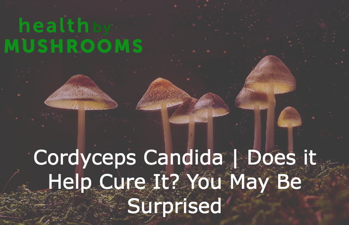 Cordyceps Candida | Does it Help Cure It? You May Be Surprised