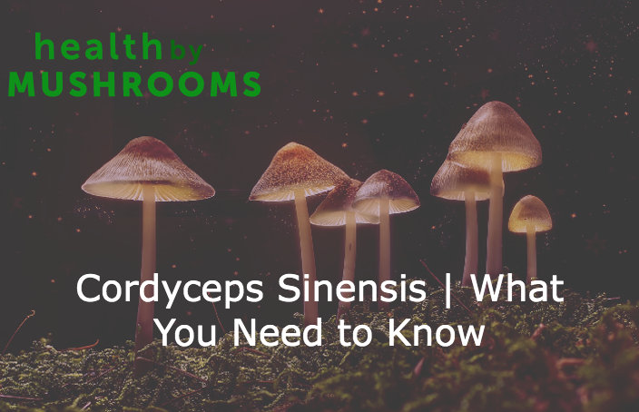 Cordyceps Sinensis | What You Need to Know