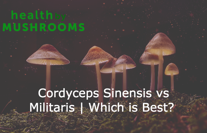 Cordyceps Sinensis vs Militaris | Which is Best?