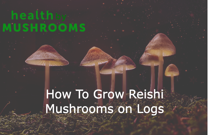 How To Grow Reishi Mushrooms on Logs