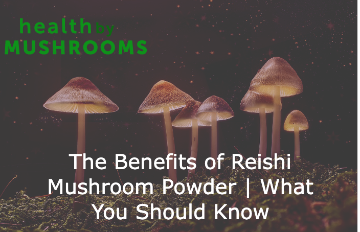 The Benefits of Reishi Mushroom Powder | What You Should Know
