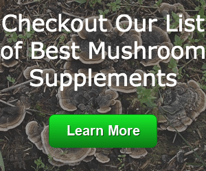 list-of-best-mushroom-supplements.png