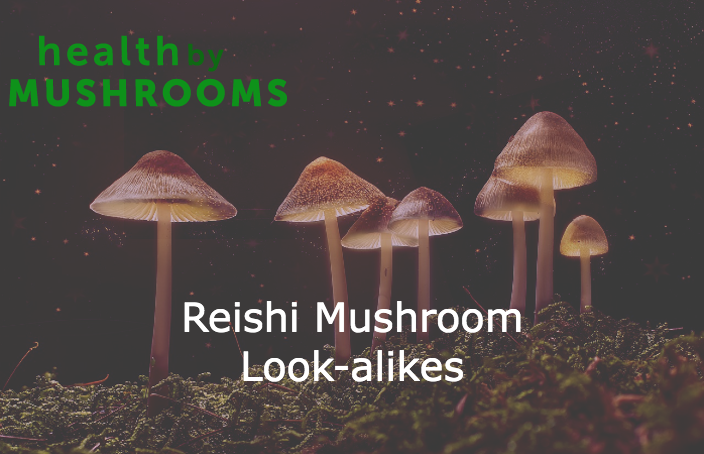 reishi-mushroom-look-alikes