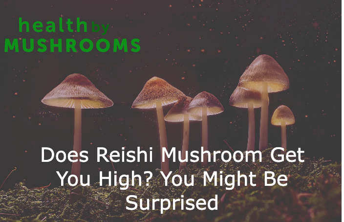 Does Reishi Mushroom Get You High? You Might Be Surprised