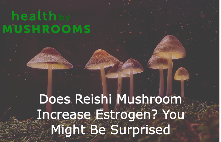 Does Reishi Mushroom Increase Estrogen? You Might Be Surprised