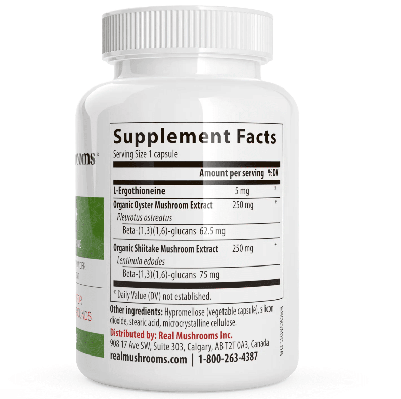 Best Shiitake Mushroom Supplement 2023 Health By Mushrooms