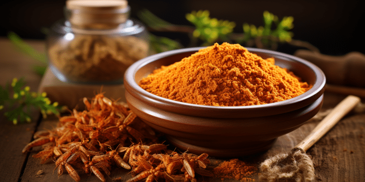 Best Cordyceps Powder in 2023: What You Need to Know