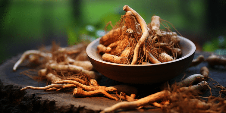 Cordyceps for Erectile Dysfunction | Does It Work?