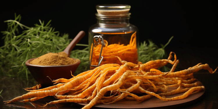 Cordyceps for Weight Loss | Does It Work?