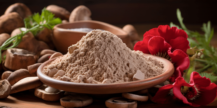 How to Use Reishi Mushroom Powder