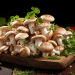 Important Mushroom Nutrition Information