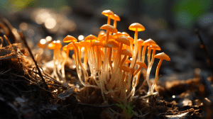 Is Cordyceps Antiviral? The Truth May Surprise You