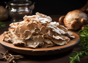 Maitake Mushroom Benefits | Our 7 Favorites