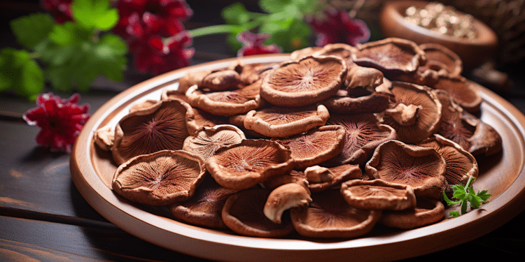Reishi Mushroom for Allergies and Other Remedies