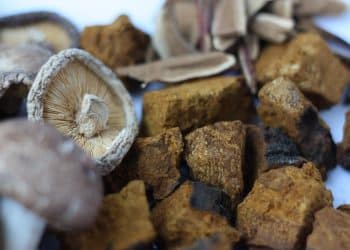 Are Shiitake Mushrooms Good for Weight Loss?
