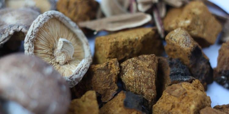 Are Shiitake Mushrooms Good for Weight Loss?