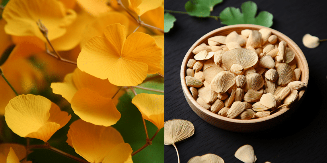 Can I Take Ginkgo Biloba With Ashwagandha