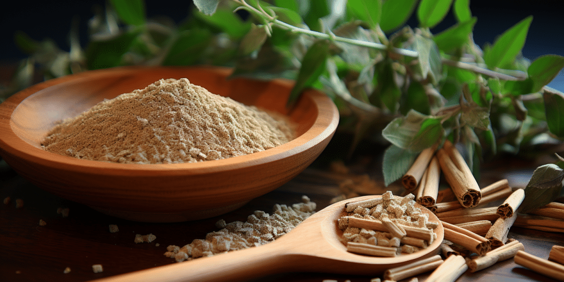 Can You Take Ashwagandha for ADHD? - Health By Mushrooms - Can You Take Ashwagandha With L Theanine