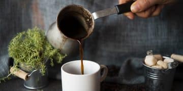 Best mushroom coffee alternative