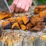 Can Chaga Mushroom Reduce Inflammation?